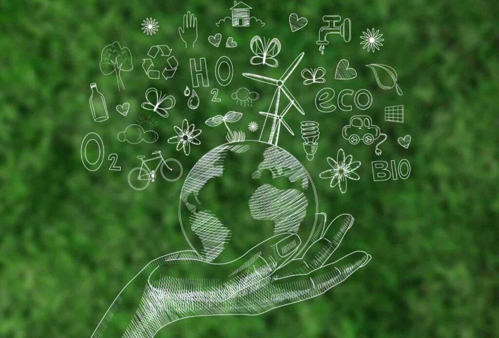 ISO 14001 Certification