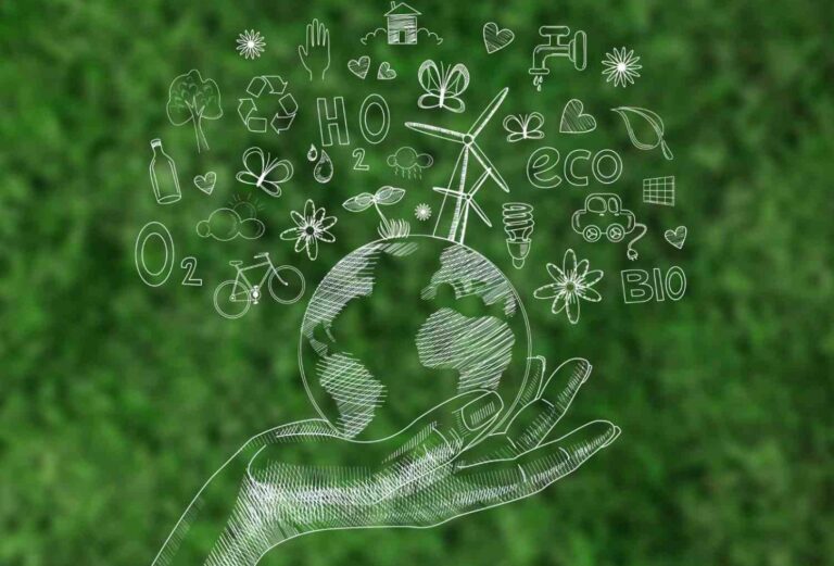 ISO 14001: Meaning, Standard and Requirements